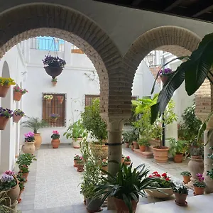  Appartement El Patio De Regina Spanje